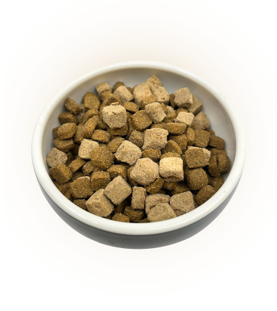 Extra Raw Somon fără Cereale [1]