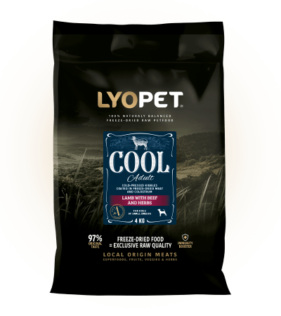 LYOPET - Cool Adult Mini – Miel