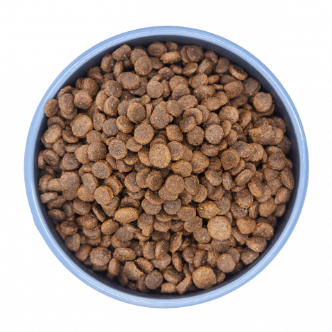 Primal Instinct Healthy & Shiny Coat [2]