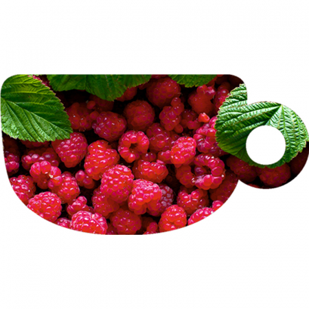Aroma Narghilea Puer Garden Raspberry - Zmeura, 100gr [1]