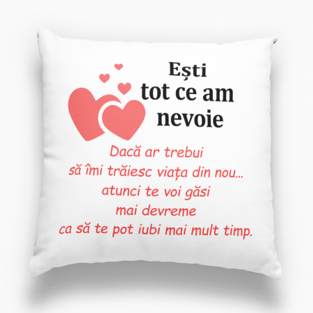 Perne personalizate - Pernă personalizată - Ești tot ce am nevoie! - Nari