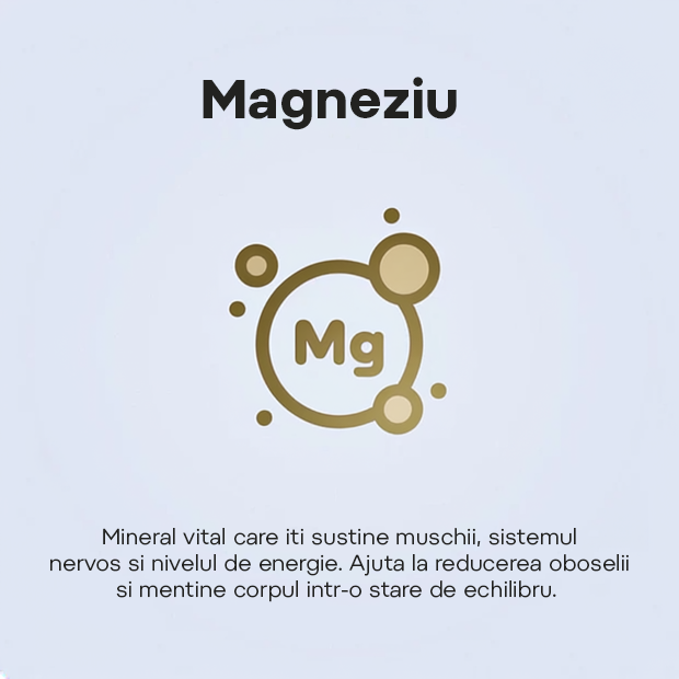 CANS+ Balance. BAUTURA CARBOGAZOASA FUNCTIONALA CU AROMA DE GHIMBIR. Fara zahar, fara indulcitori. [7]