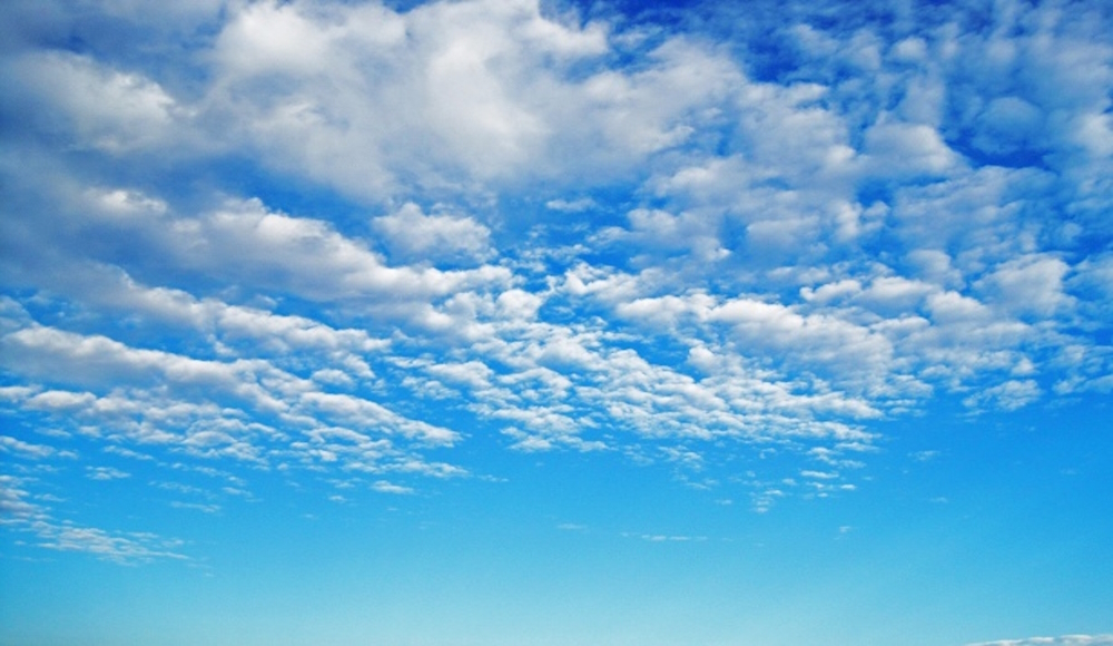 Banner1