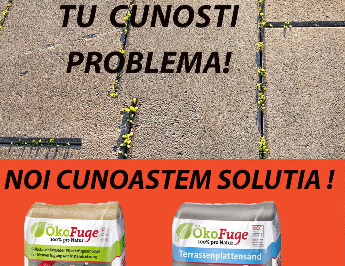 Nisip rostuit pavaj cu auto-intarire pentru rosturi 1-8 mm, culoare Bej [3]