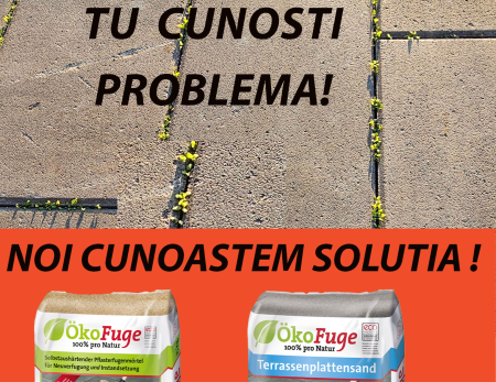 Nisip rostuit pavaj cu auto-intarire pentru rosturi 1-8 mm, culoare Bej [2]