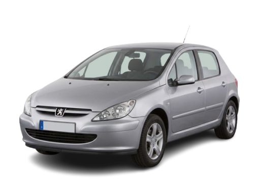 307 (2000 - 2013)