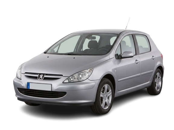 307 (2000 - 2013)
