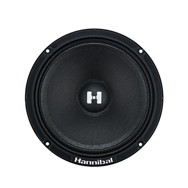 Difuzoare auto Deaf Bonce Hannibal HM-6S set componente, 165mm, 100W RMS, 4Ω, set 2 difuzoare [3]
