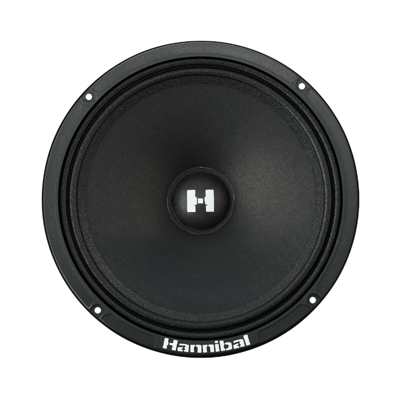 Difuzoare auto Deaf Bonce Hannibal HM-8E set componente, 200mm, 80W RMS, 4Ω, set 2 difuzoare [3]