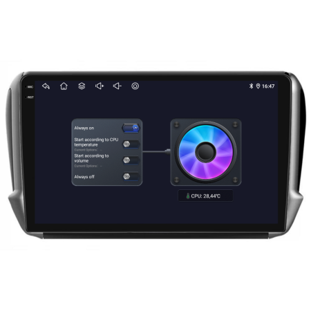 Navigatie Dedicata Peugeot 208/2008 (2013-2018), 10Inch, 8Gb Ram, 256Gb Stocare, Carplay [7]