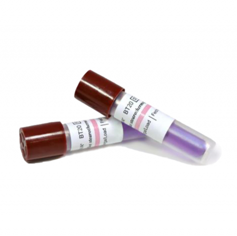 Consumabile medicale - Indicator biologic pentru sterilizare abur (autoclav) 24H