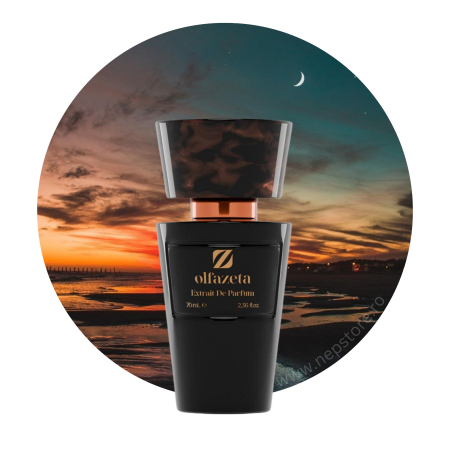 Parfumuri barbati - Parfum barbati nr 012 Chogan / Olfazeta 70 ml