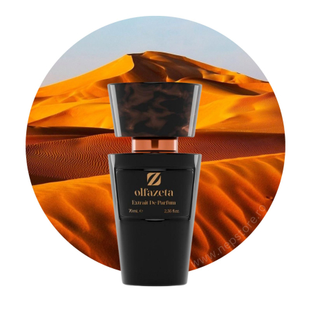 Parfumuri barbati - Parfum barbati nr 022 Chogan / Olfazeta 70 ml