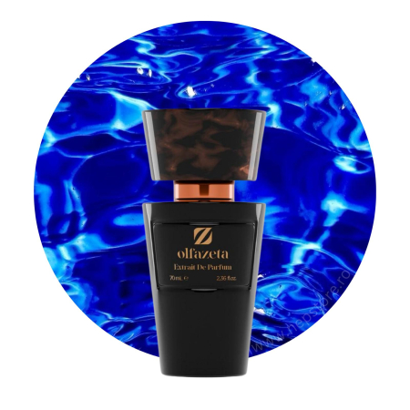 Parfumuri barbati - Parfum barbati nr 031 Chogan / Olfazeta 70 ml