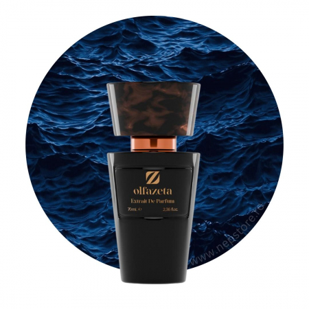 Parfumuri barbati - Parfum barbati nr 038 Chogan / Olfazeta 70 ml