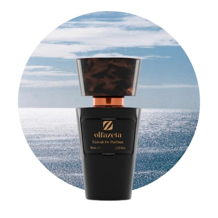 Parfum barbati nr 091 Chogan / Olfazeta 70 ml [0]