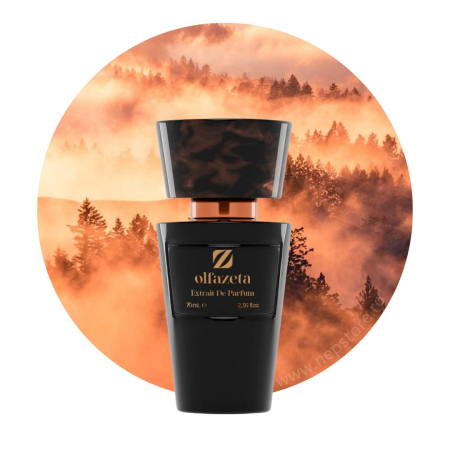 Parfumuri unisex - Parfum unisex nr 072 Chogan / Olfazeta 70 ml