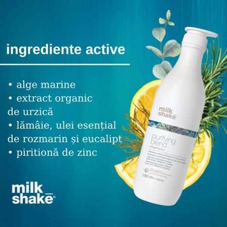 Sampon pentru par gras, Milk Shake, Purifying Blend Shampoo, 1000ml [2]