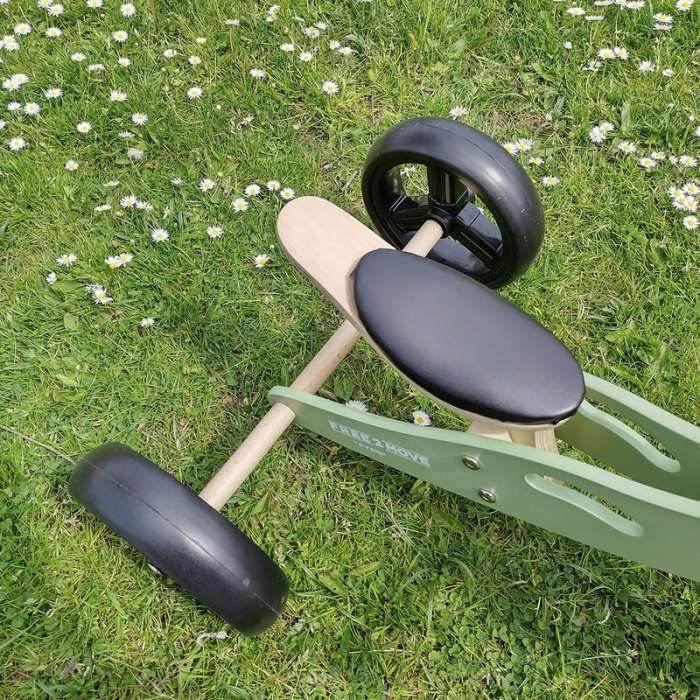 Bicicleta/tricicleta fara pedale din lemn, 2 in 1, Functie de bicicleta echilibru, Scaun reglabil, Roti ajustabile, Manere antiderapante, Varsta 1-3 ani, Free2Move, Mint [14]