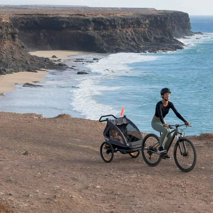 Carucior si remorca de bicicleta, Lionelo, Cama, Multifunctional, Pentru 1 sau 2 copii, Cu sistem de absorbtie a socurilor SIQ, Geamuri cu protectie solara, Gri [17]
