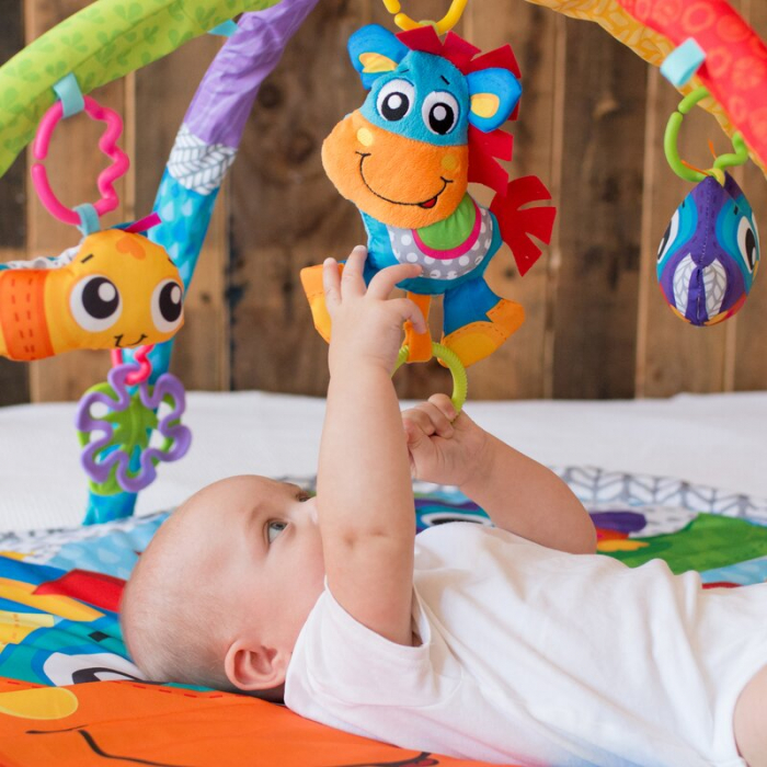 Covoras educational, Playgro, Pentru copii, Interactiv, Multifunctional, Pentru activitati fizice, Cu elemente detasabile, 0 luni+, Clip Clop Musical Activity Gym [12]