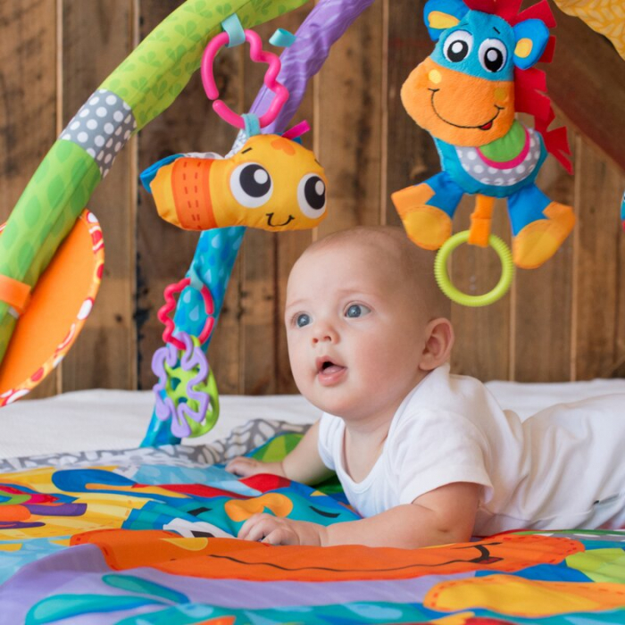 Covoras educational, Playgro, Pentru copii, Interactiv, Multifunctional, Pentru activitati fizice, Cu elemente detasabile, 0 luni+, Clip Clop Musical Activity Gym [13]