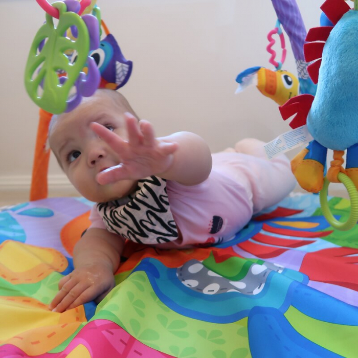 Covoras educational, Playgro, Pentru copii, Interactiv, Multifunctional, Pentru activitati fizice, Cu elemente detasabile, 0 luni+, Clip Clop Musical Activity Gym [15]