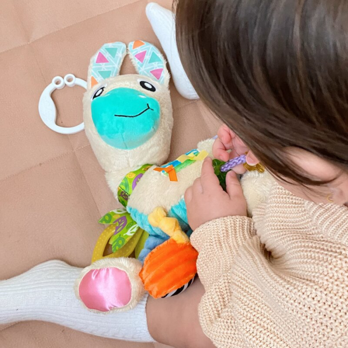 Jucarie carucior sau scaun auto, Playgro, Cu inele pentru dentitie, Cu diverse forme si texturi, Cu sunete si zornaieli, Dezvolta abilitatile motorii si imaginatia, 0 luni+, Sensory Friend Lupe Llama [10]
