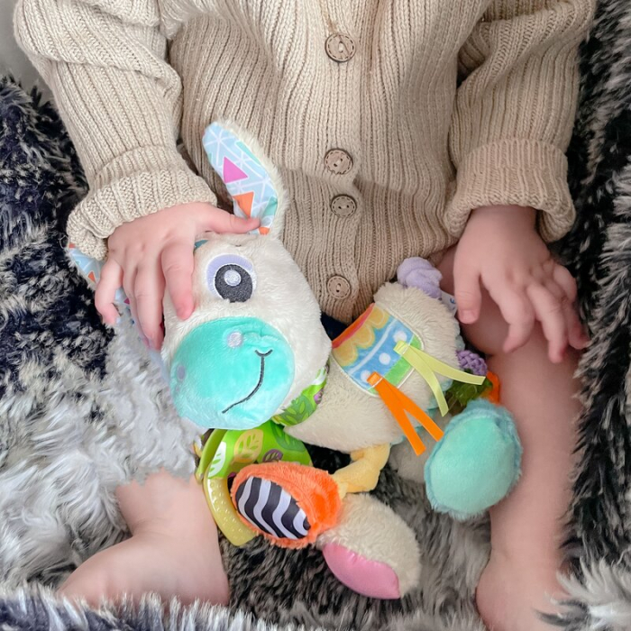 Jucarie carucior sau scaun auto, Playgro, Cu inele pentru dentitie, Cu diverse forme si texturi, Cu sunete si zornaieli, Dezvolta abilitatile motorii si imaginatia, 0 luni+, Sensory Friend Lupe Llama [8]