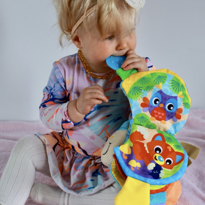 Jucarie din plus, Playgro, Clip Clop, Carticica tactila, Stimuleaza dezvoltarea senzoriala, Cu inele pentru dentitie, Cu diverse forme si texturi, 3 luni+, Musical Clip Clop Teether Book [14]