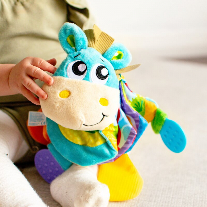 Jucarie din plus, Playgro, Clip Clop, Carticica tactila, Stimuleaza dezvoltarea senzoriala, Cu inele pentru dentitie, Cu diverse forme si texturi, 3 luni+, Musical Clip Clop Teether Book [17]