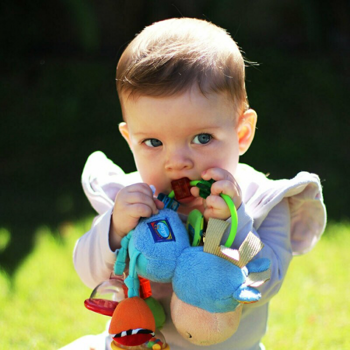 Jucarie zornaitoare si de dentitie, Playgro, Cu activitati, Cu jucarii de dentitie, Cu margele, Cu diferite texturi, Clip Clop Activity Rattle, 11 cm [6]