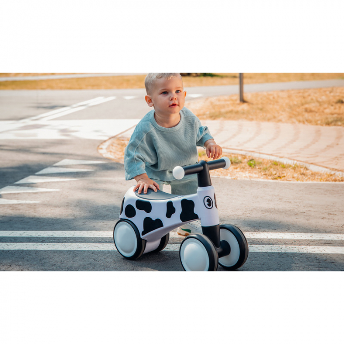 Lionelo - Bicicleta fara pedale, Sammy, Cu 4 roti, Din spuma EVA, Stabila, Manere moi, antiderapante, 12- 36 luni, Greutate maxima suportata 25 kg, Certificata EN 71-1:2014, EN 71-2:2011, EN 71-3:2019 [22]