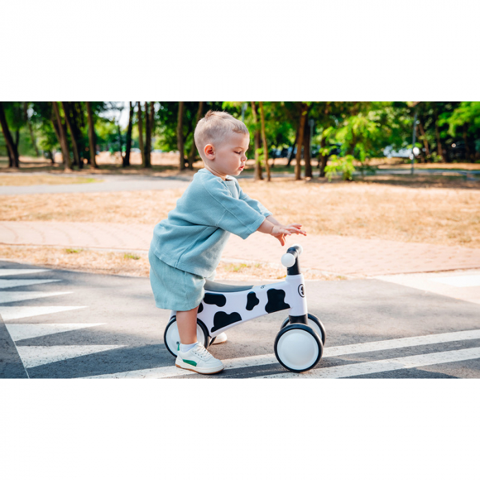 Lionelo - Bicicleta fara pedale, Sammy, Cu 4 roti, Din spuma EVA, Stabila, Manere moi, antiderapante, 12- 36 luni, Greutate maxima suportata 25 kg, Certificata EN 71-1:2014, EN 71-2:2011, EN 71-3:2019 [20]