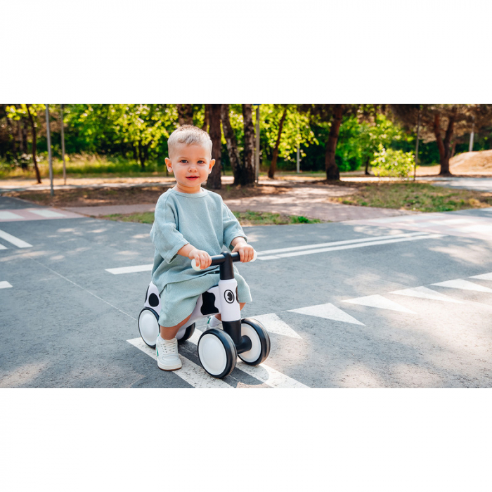Lionelo - Bicicleta fara pedale, Sammy, Cu 4 roti, Din spuma EVA, Stabila, Manere moi, antiderapante, 12- 36 luni, Greutate maxima suportata 25 kg, Certificata EN 71-1:2014, EN 71-2:2011, EN 71-3:2019 [17]