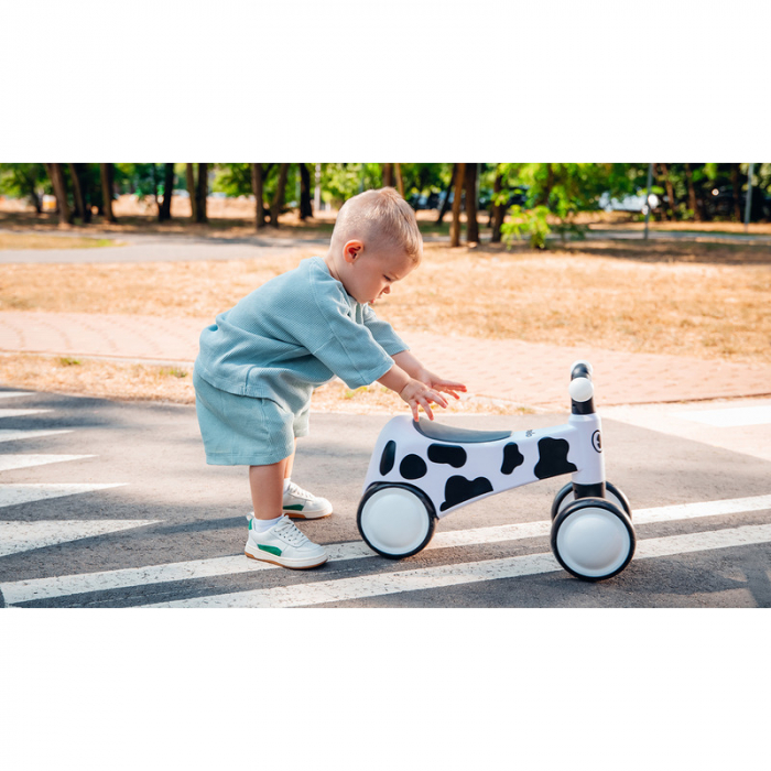 Lionelo - Bicicleta fara pedale, Sammy, Cu 4 roti, Din spuma EVA, Stabila, Manere moi, antiderapante, 12- 36 luni, Greutate maxima suportata 25 kg, Certificata EN 71-1:2014, EN 71-2:2011, EN 71-3:2019 [21]