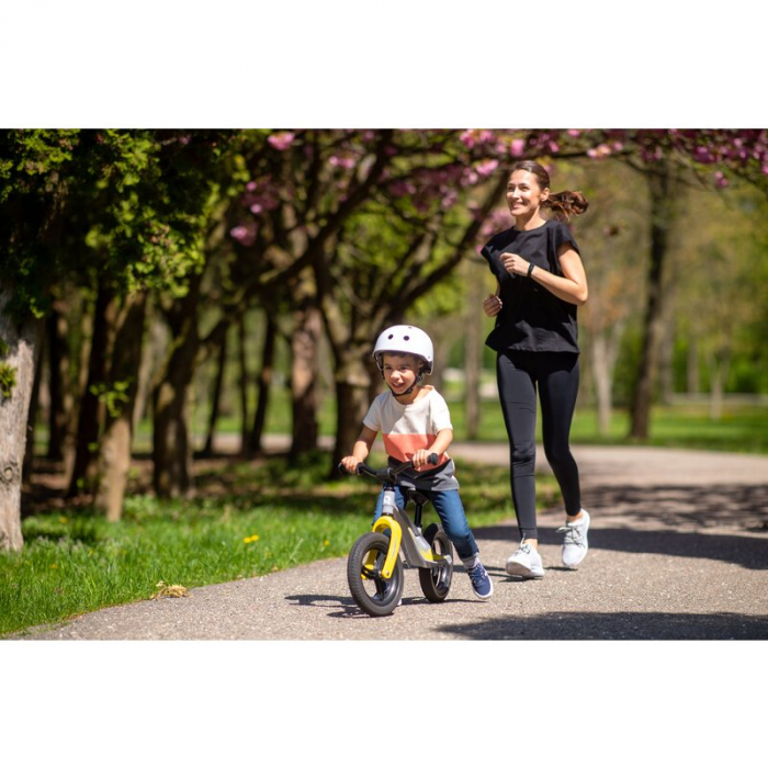 Lionelo - Bicicleta usoara Bart Tour, Fara pedale, Cu cadru din magneziu, Cu ghidon si sa reglabile, Greutate 3.8 Kg, 12 inch, Conform cu standardul european de securitate EN71, Pink Bubblegum [22]