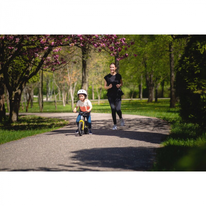 Lionelo - Bicicleta usoara Bart Tour, Fara pedale, Cu cadru din magneziu, Cu ghidon si sa reglabile, Greutate 3.8 Kg, 12 inch, Conform cu standardul european de securitate EN71, Pink Bubblegum [26]