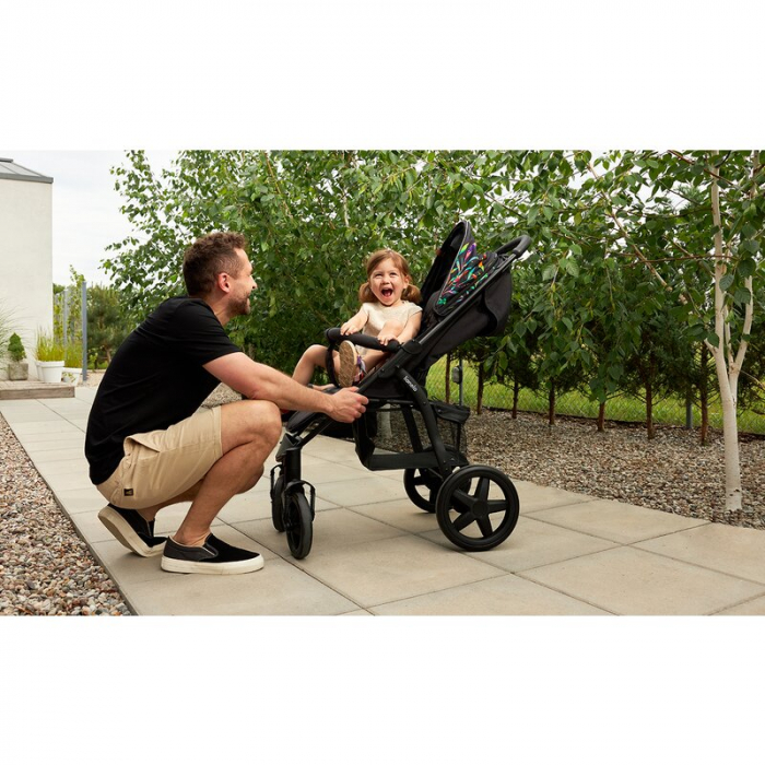 Lionelo - Carucior sport Annet Plus Dreamin\', Editie limitata, De la nastere, Cu accesorii, 0 - 22 Kg, Conform cu standardele europene de securitate EN1888-1 si EN1888-2, Negru [19]