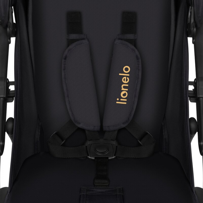 Lionelo - Carucior sport Annet Tour Golden Moments, Editie Limitata, 0 luni+, Capotina impermeabila UPF 50+, Maner reglabil, Plasa de tantari, Suport biberon, Saculet pentru picioare, Pana la 22 kg, C [15]