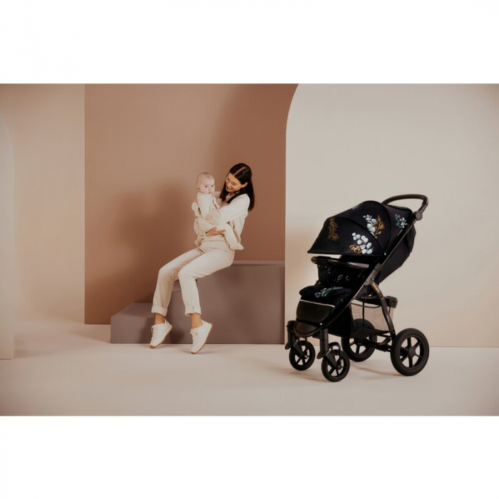 Lionelo - Carucior sport Annet Tour Golden Moments, Editie Limitata, 0 luni+, Capotina impermeabila UPF 50+, Maner reglabil, Plasa de tantari, Suport biberon, Saculet pentru picioare, Pana la 22 kg, C [39]