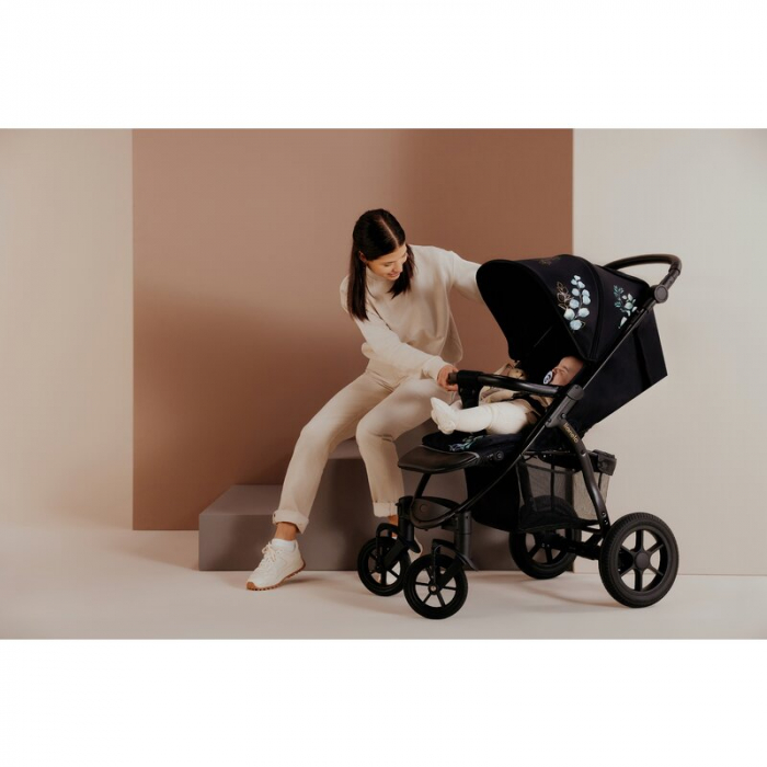 Lionelo - Carucior sport Annet Tour Golden Moments, Editie Limitata, 0 luni+, Capotina impermeabila UPF 50+, Maner reglabil, Plasa de tantari, Suport biberon, Saculet pentru picioare, Pana la 22 kg, C [29]