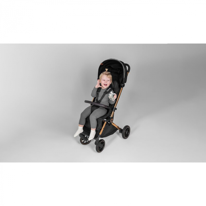 Lionelo - Carucior sport Cloe, De la nastere, Cu accesorii, Cadru din aluminiu, 0-22 kg, Usor, Pliabil cu o singura mana, Ideal pentru toate tipurile de suprafete, Bej [55]