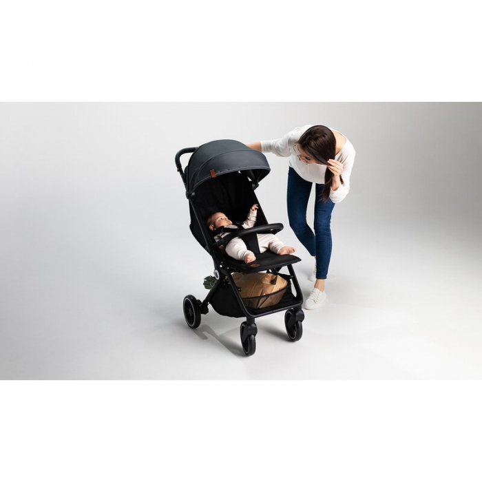 Lionelo - Carucior sport Cloe, De la nastere, Cu accesorii, Cadru din aluminiu, 0-22 kg, Usor, Pliabil cu o singura mana, Ideal pentru toate tipurile de suprafete, Bej [33]