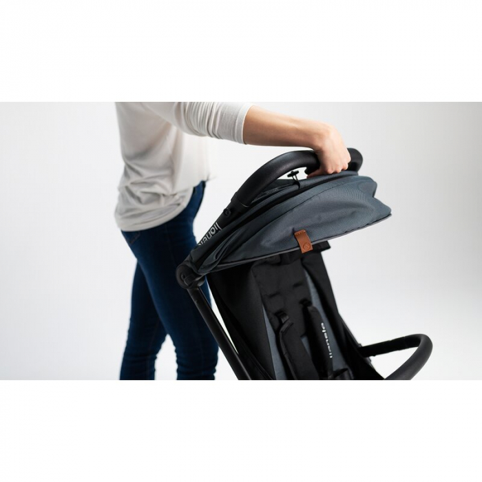Lionelo - Carucior sport Cloe, De la nastere, Cu accesorii, Cadru din aluminiu, 0-22 kg, Usor, Pliabil cu o singura mana, Ideal pentru toate tipurile de suprafete, Bej [40]