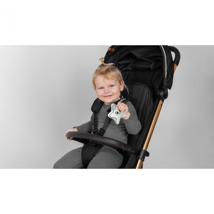 Lionelo - Carucior sport Cloe, De la nastere, Cu accesorii, Cadru din aluminiu, 0-22 kg, Usor, Pliabil cu o singura mana, Ideal pentru toate tipurile de suprafete, Bej [56]