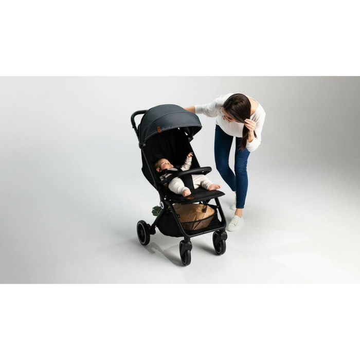 Lionelo - Carucior sport Cloe, De la nastere, Cu accesorii, Cadru din aluminiu, 0-22 kg, Usor, Pliabil cu o singura mana, Ideal pentru toate tipurile de suprafete, Verde smarald [33]