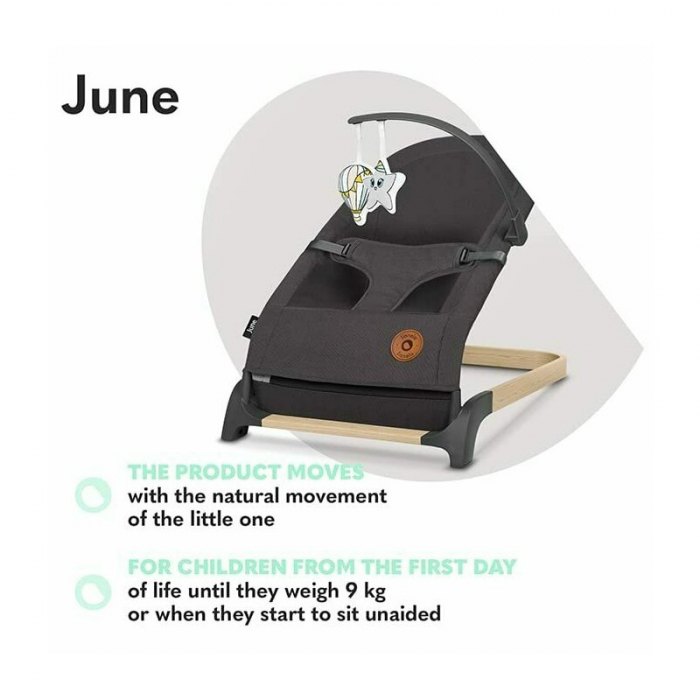 Lionelo - Fotoliu balansoar June, Cu arcada cu jucarii, Ergonomic, Balansare manuala, Pliabil, 0 luni+, Gri [15]