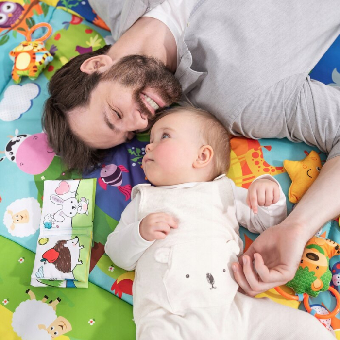 Salteluta interactiva, Lionelo, Anika, Cu jucarii, Oglinda, Perna, Conform cu standardul european de securitate EN71, Multicolor [12]