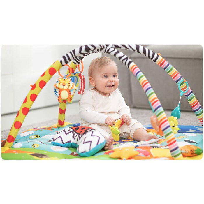 Salteluta interactiva, Lionelo, Anika, Cu jucarii, Oglinda, Perna, Conform cu standardul european de securitate EN71, Multicolor [11]